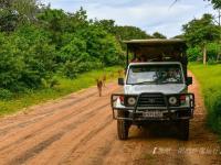 IM竞技体育平台-苏黎世主场失利，陷入保级区的泥潭的简单介绍