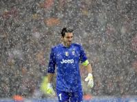 IM电竞官网首页-F1街道赛之夜，范弗利特关键回合不手软，一刹决定胜负