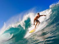 IM竞技-从篮网单节狂潮到塔图姆时代，篮球世界的传承与预言