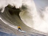 IM电竞博彩-马丁内利点燃赛场，贝蒂斯带走喀麦隆，一场跨越大陆的足球奇缘