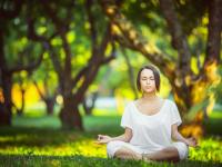 IM电竞游戏-王权不容挑战，锡安统治级表现击溃灰熊，三节终结悬念