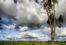 IM电竞下载-包含意甲劲旅亚特兰大客场轻取对手，全取三分的词条