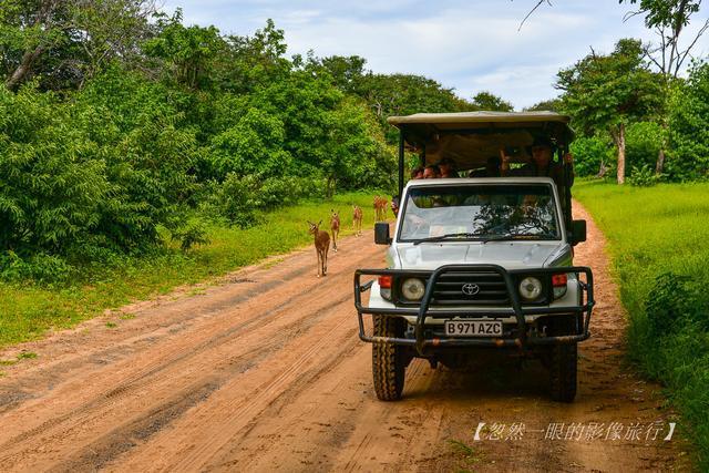 苏黎世主场失利,陷入保级区的泥潭的简单介绍 苏黎世主场失利,陷入保级区的泥潭的简单介绍
