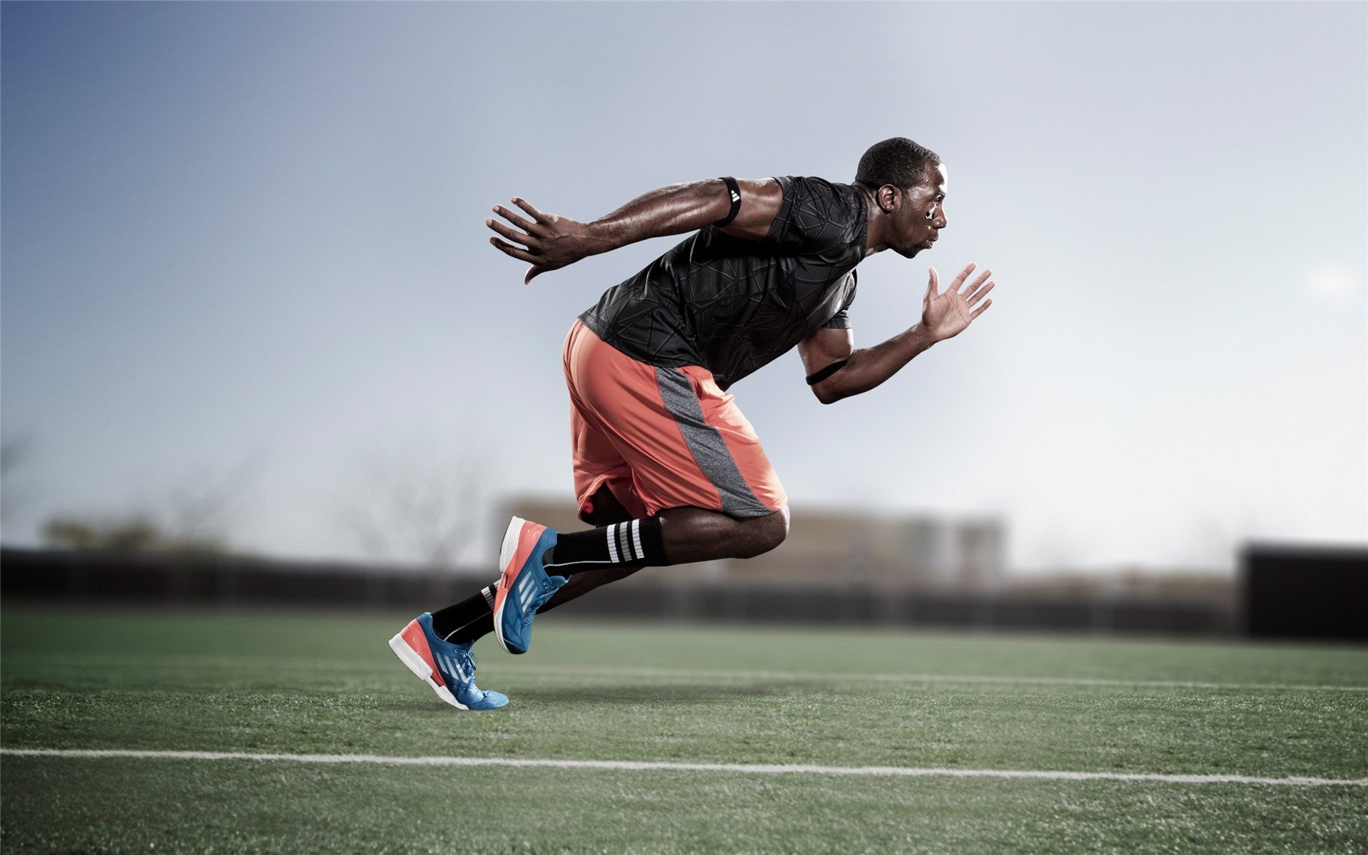 戴维斯杯的集体荣光,蒂姆领衔的团队力量,为何碾压蒙特卡洛的孤星战场?