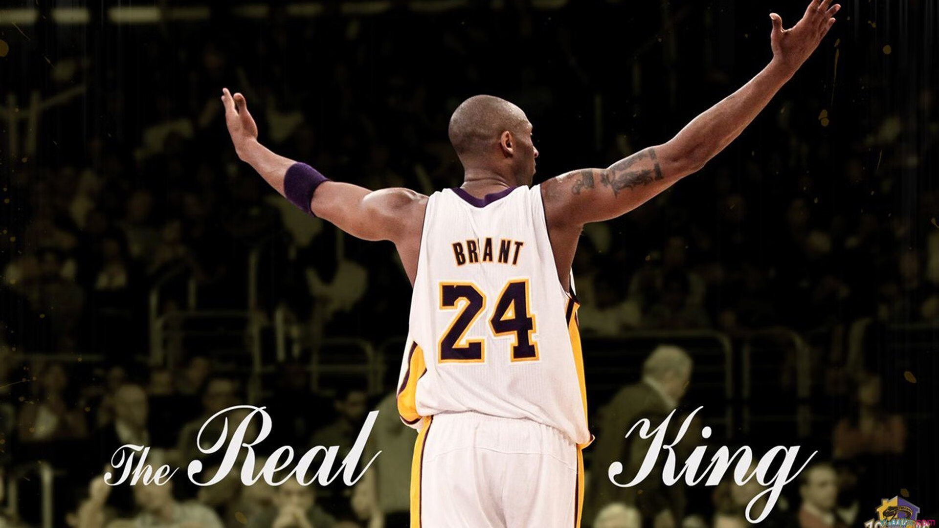 马琳一剑封喉，法兰西意志的逆转史诗